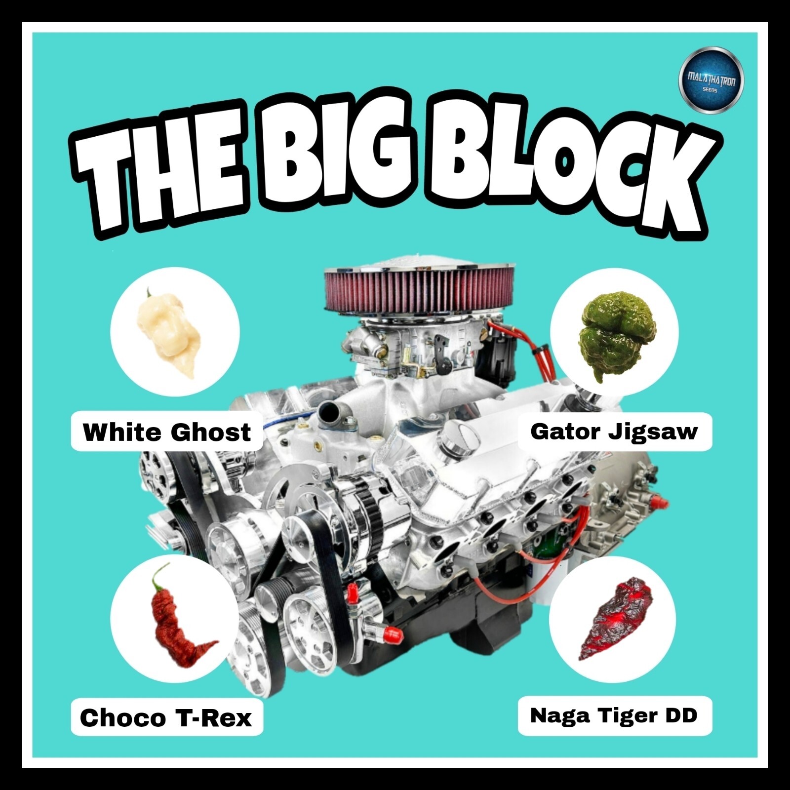 BIG BLOCK Pepper Combo- 4 Superhot Varieties – 20 Seeds Of Each – Great Discount