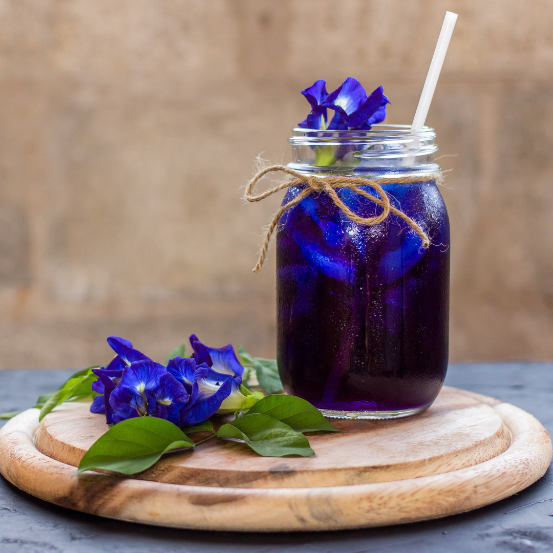 Fresh Butterfly Pea Seeds | Flower | Heirloom Non-GMO | Asian Flower Seeds