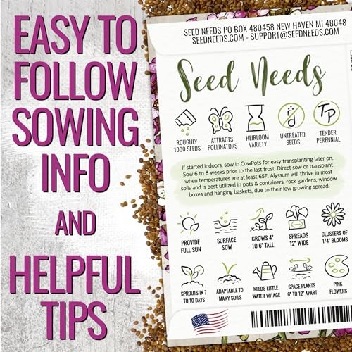 Dwarf Pink Alyssum Seeds for Planting – Heirloom & Open 1 Pack (1,000 Seeds)