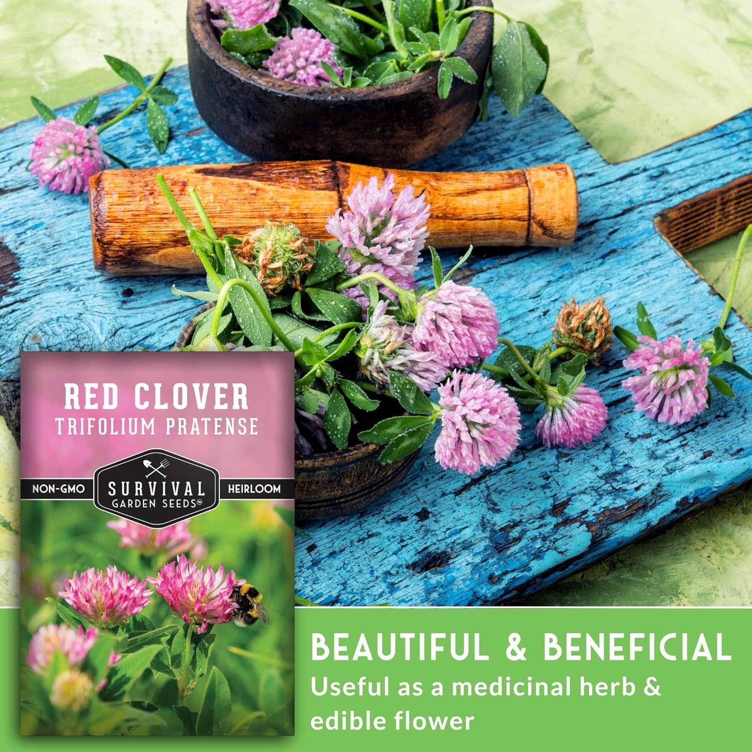 Fast-Germinating Red Clover Seeds for Spring Fall Planting
