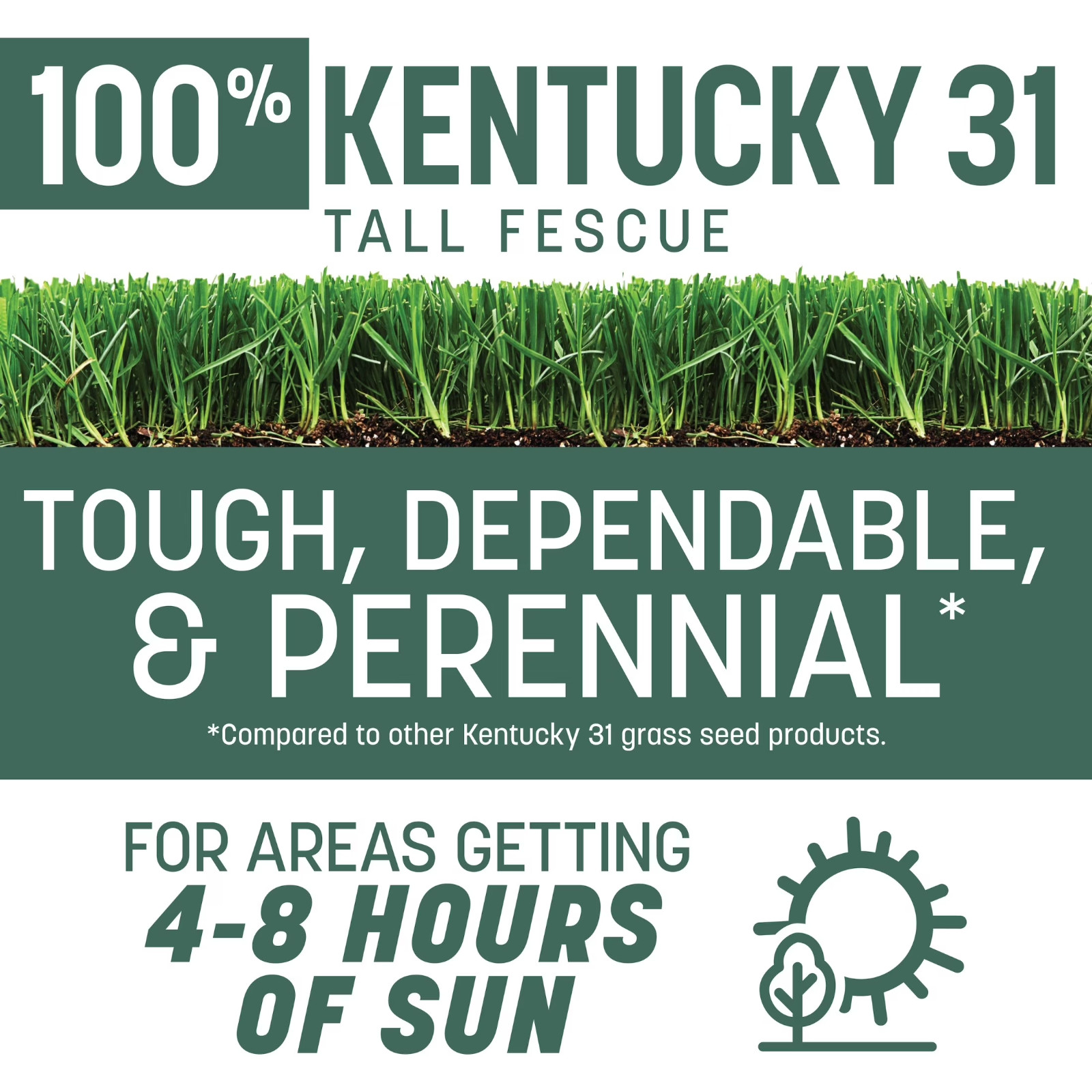 Pennington Kentucky 31 Tall Fescue Grass Seed 20 lb Sun & Shade Lawn Seed