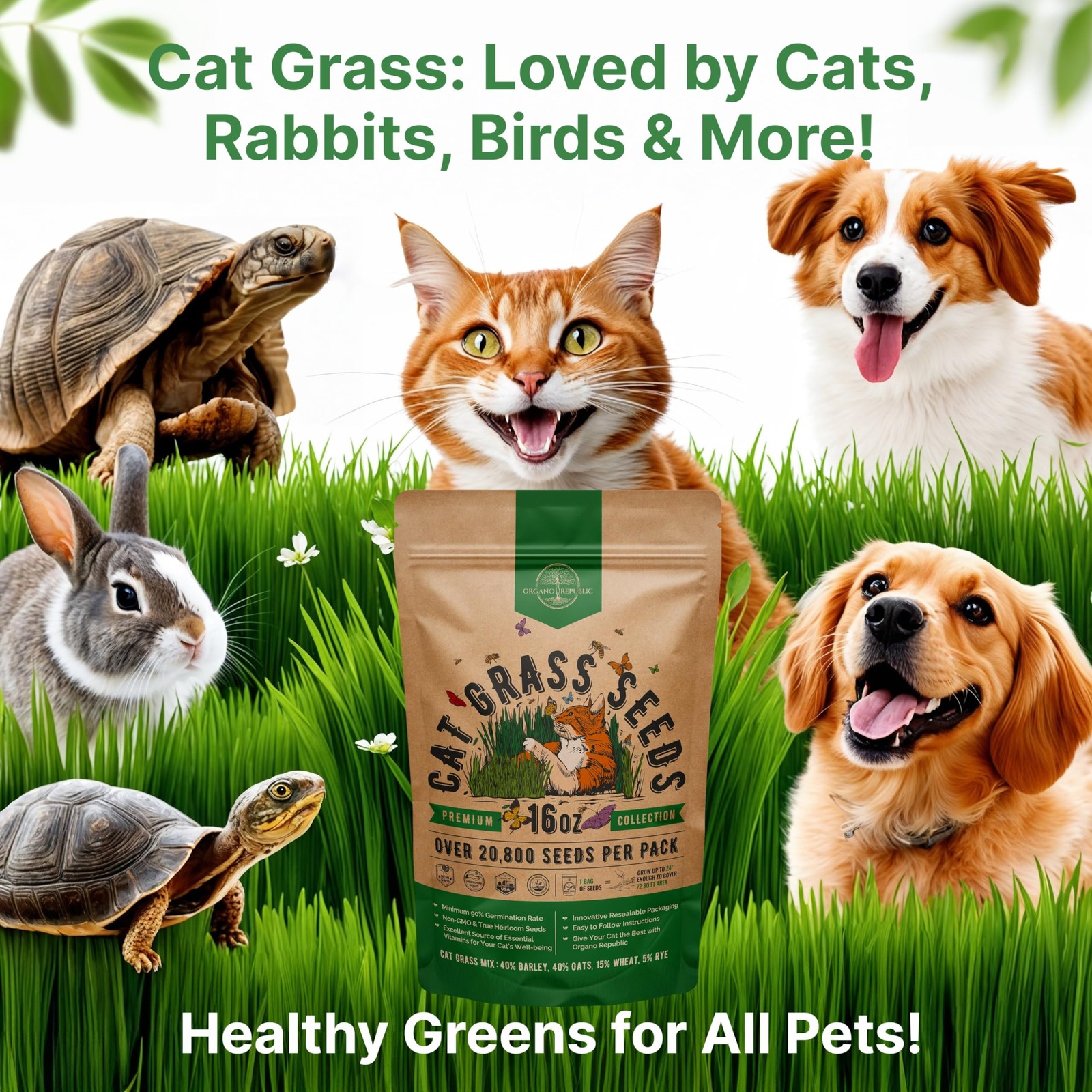 Cat Grass Seeds Mix – 20,800 Non-GMO Heirloom Seeds for Cats & Pets, 16 oz Pa…
