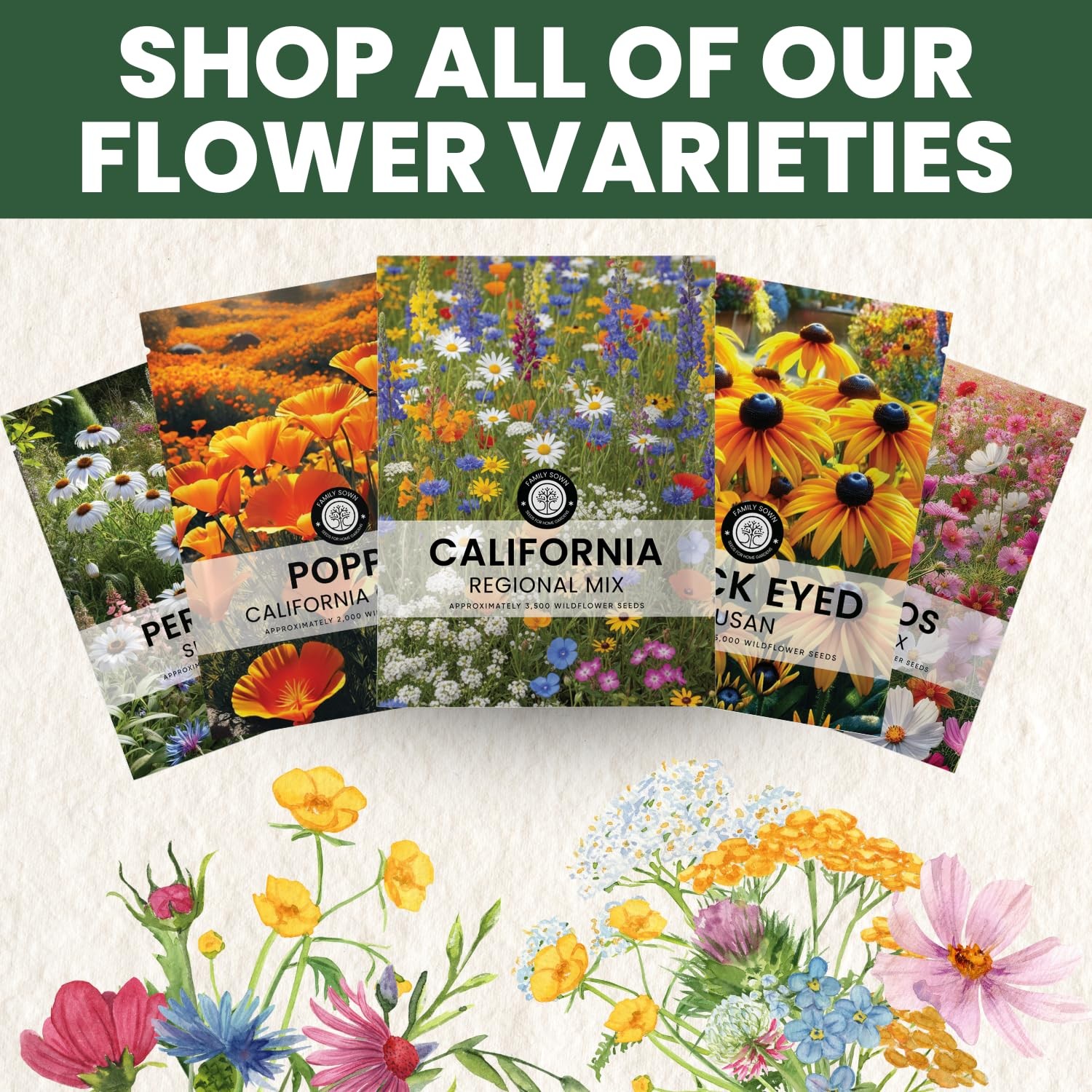 California Regional Seed Mix – 19,000 Seeds for Planting – 1 Ounce Pouch