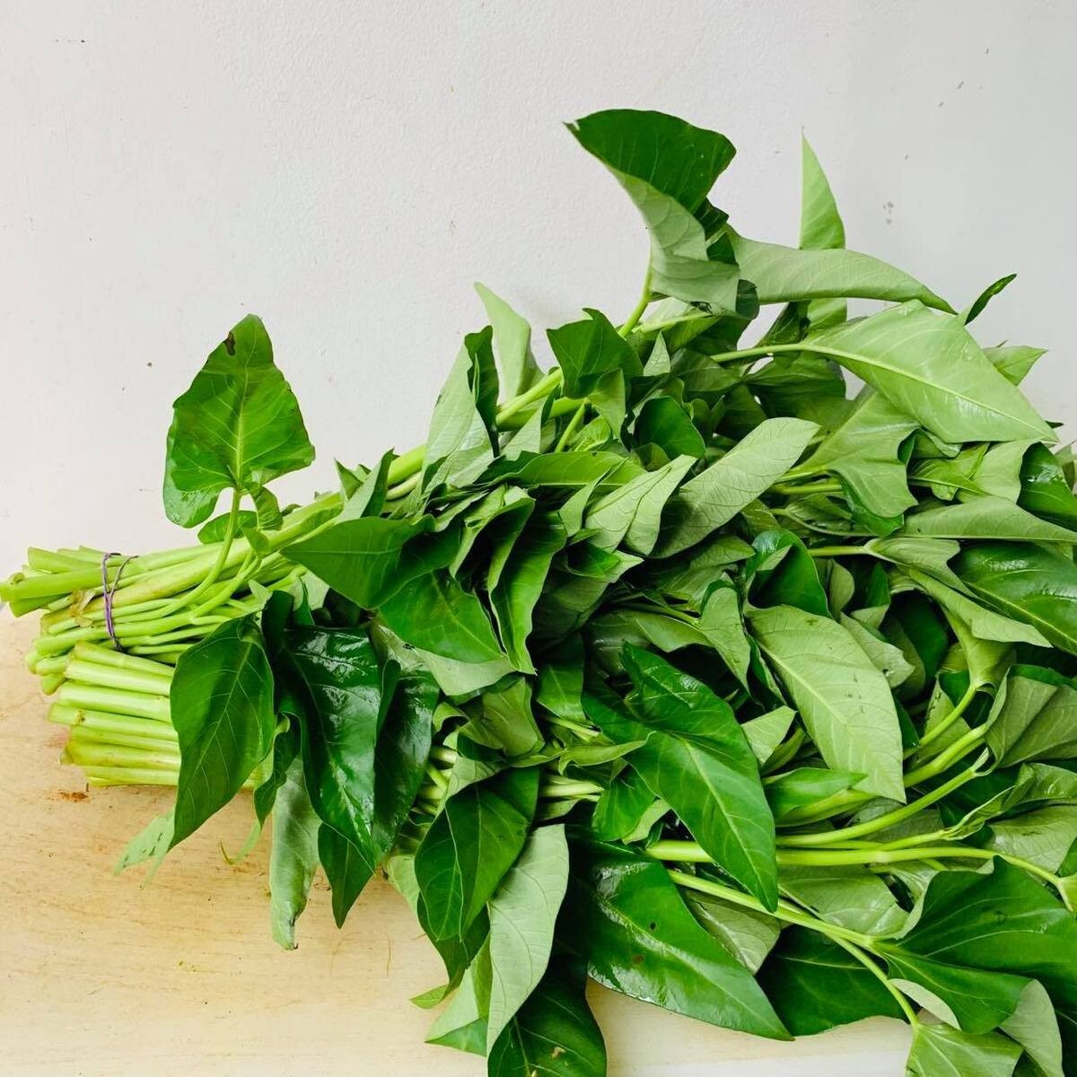 150 Seeds – Large Leaf Water Spinach, Ong Choy, Rau Muống Lá Lớn