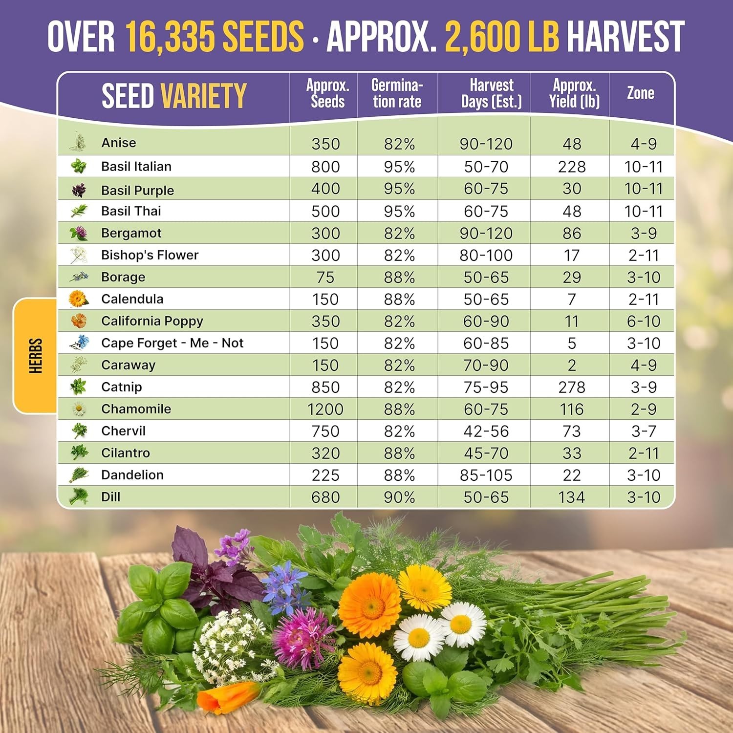35 Medicinal & Tea Herb Seeds Variety Pack for Indoor & Outdoors. 16,335+ Non-GM