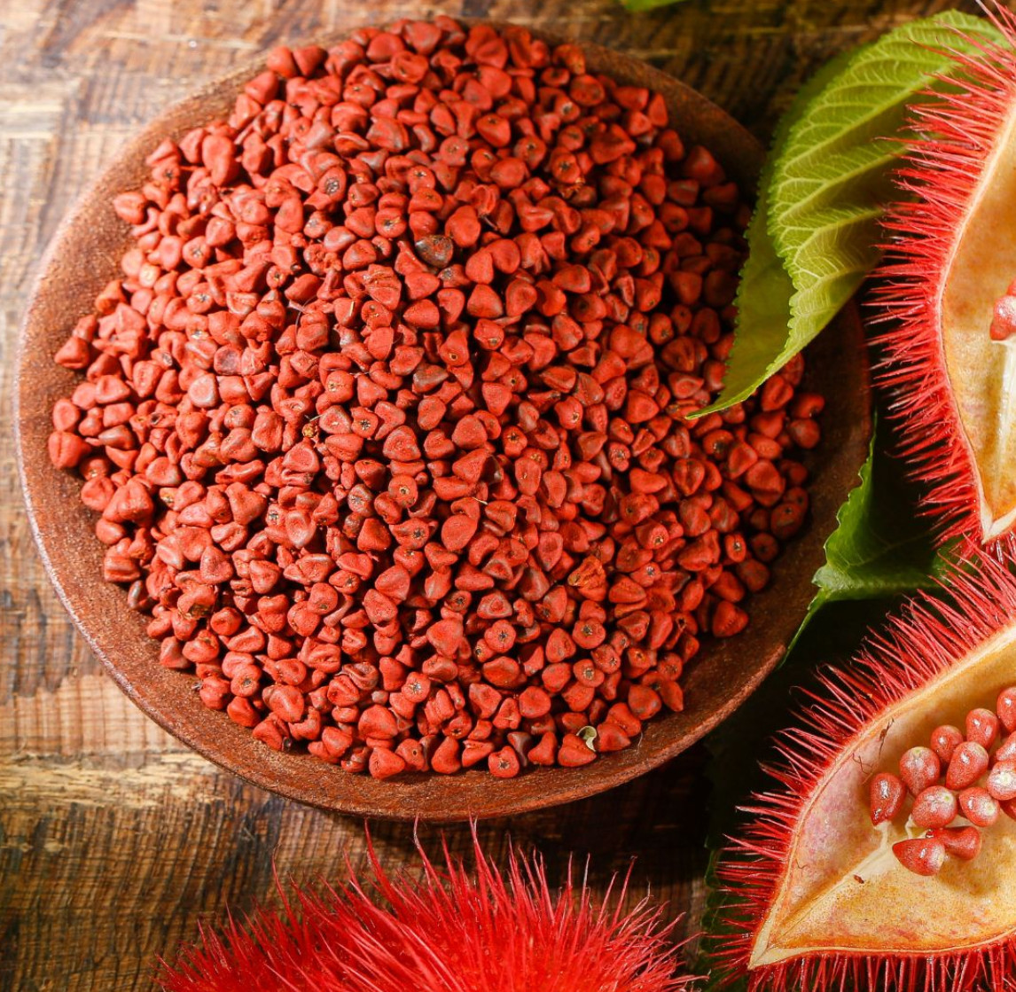 Semillas Achiote, Puerto Rico, Annatto Seeds, Bixa Orellana, Lipstick tree