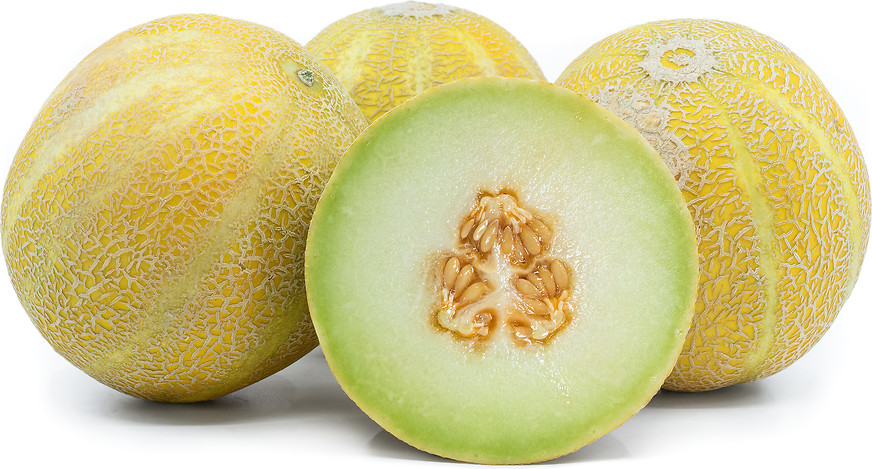 Lemon Drop Melon Seeds (25) / JUICY / SWEET / RARE / EASY / FLORIDA