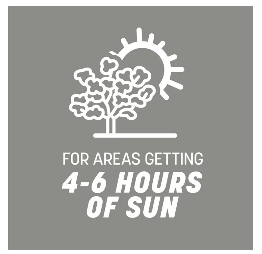 Pennington Contractors Central Grass Seed Mix, for Sun to Partial Shade, 7 lb.