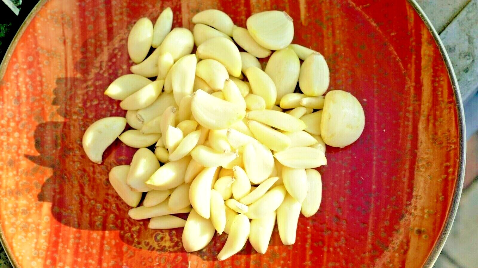 Organic GARLIC bulbs 10lbs • 5 VARIETIES Chesnok Music Italian German Russian