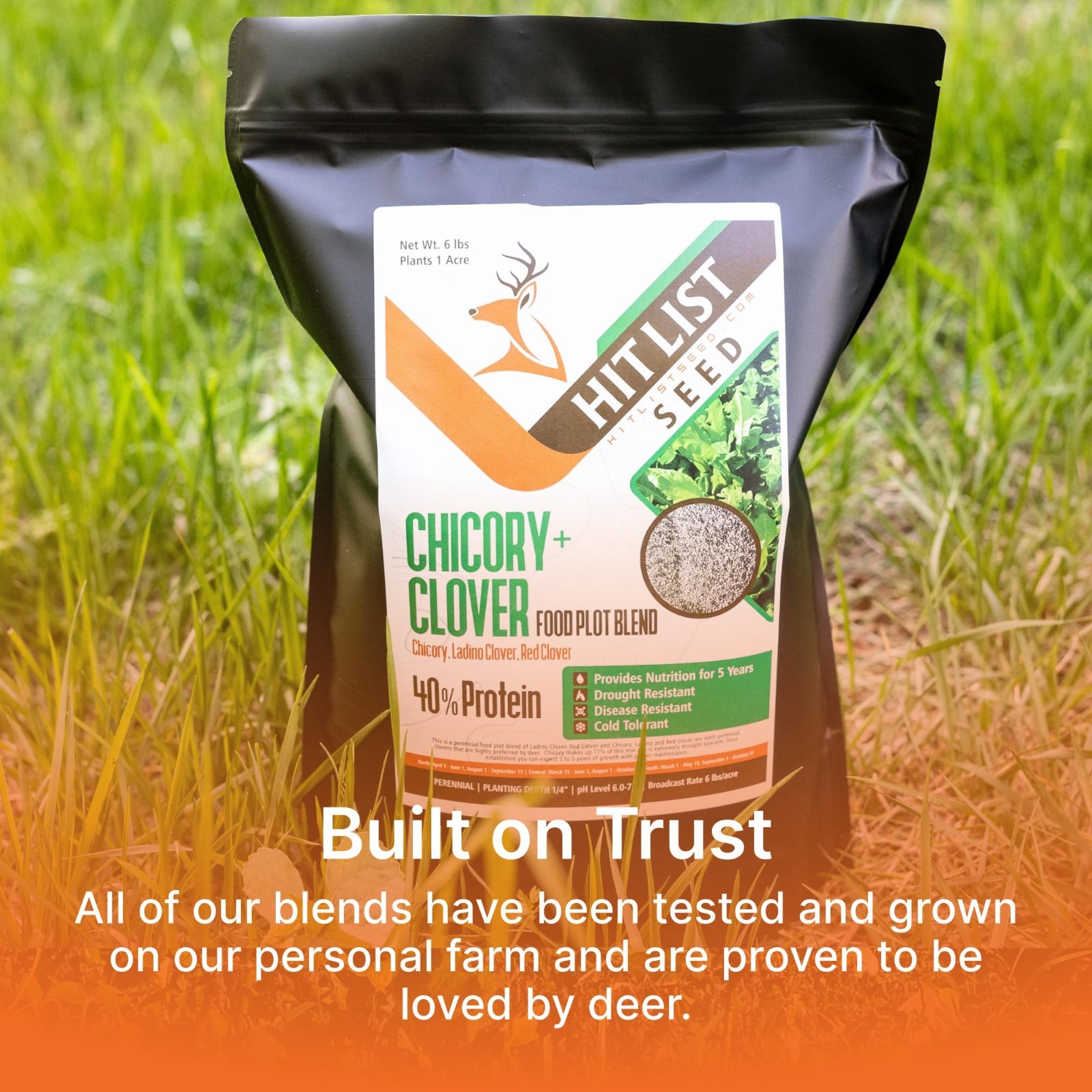 Chicory & Clover Food Plot Seeds for Deer – Perennial Mix for Spring, Summer, Fa