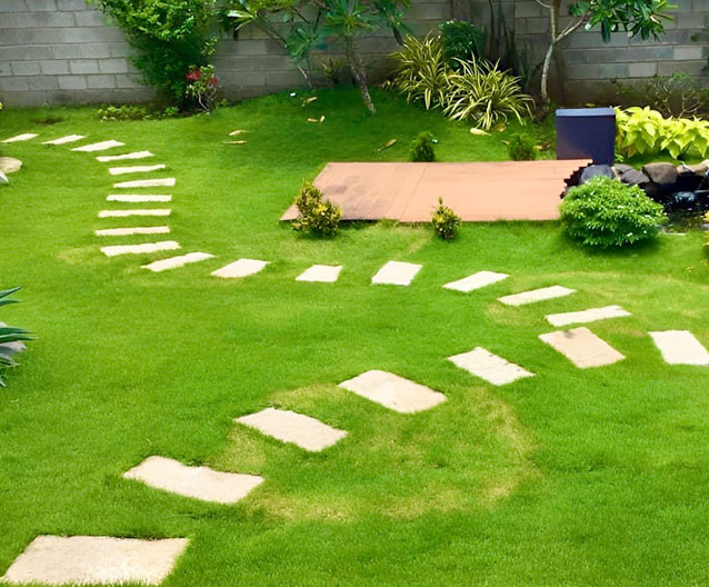 5lbs Smart Patch Zenith Zoysia Grass Seed Mix, Zenith Grass Seeds for Lawn