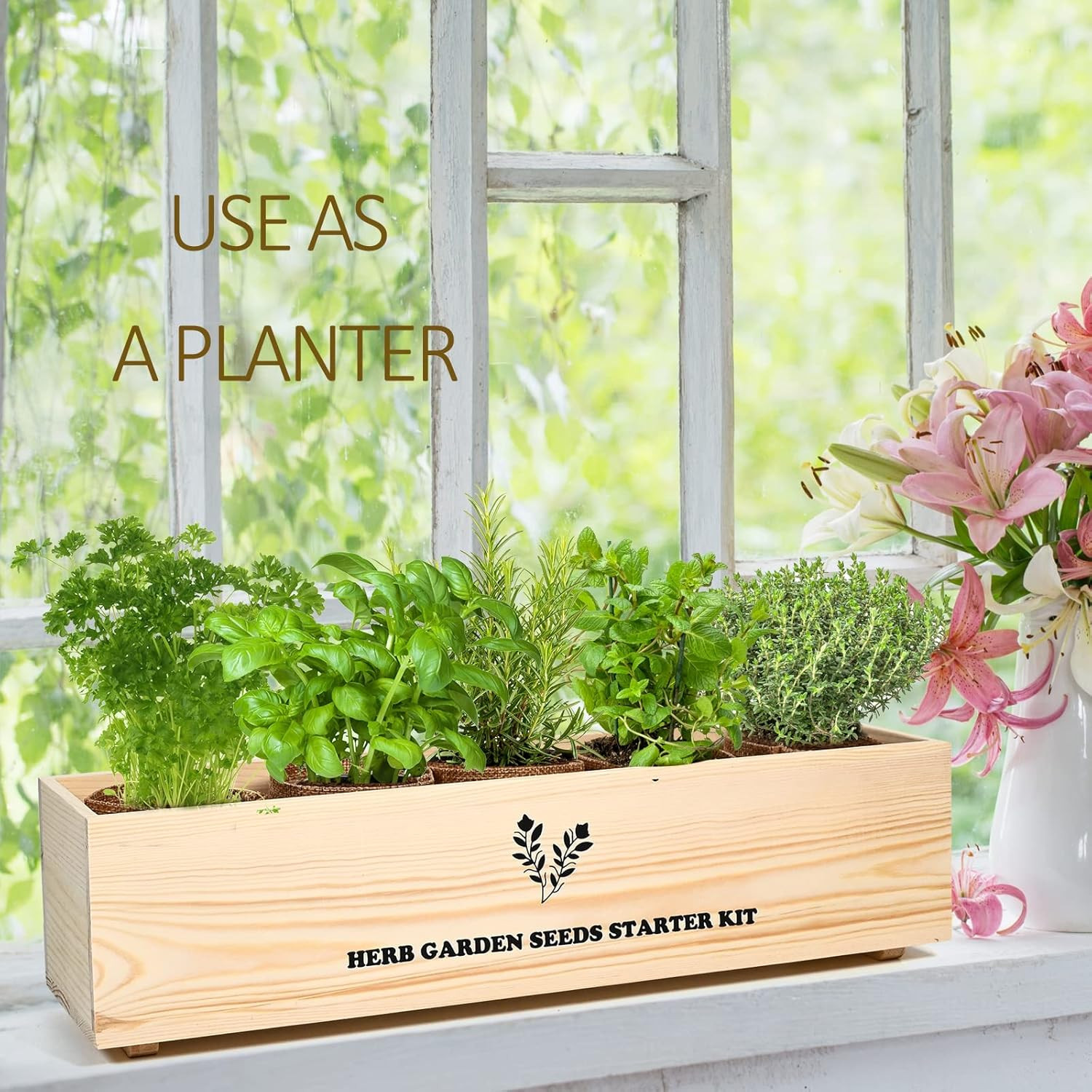 5 Herb Seeds Garden Starter Kit with Complete Planting Kit & Wooden Flower Box