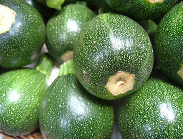 Round Zucchini Squash Seed, NON GMO – Heirloom, FUN FAVORITE IN KITCHEN & GARDEN
