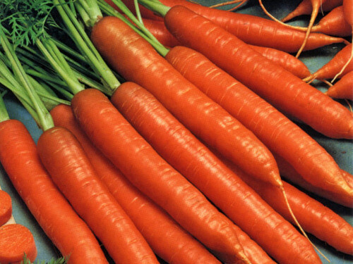 Heirloom Vegetable 150+ Seeds 6 Variety Garden Set #2 PERFECT SURVIVAL NON-GMO