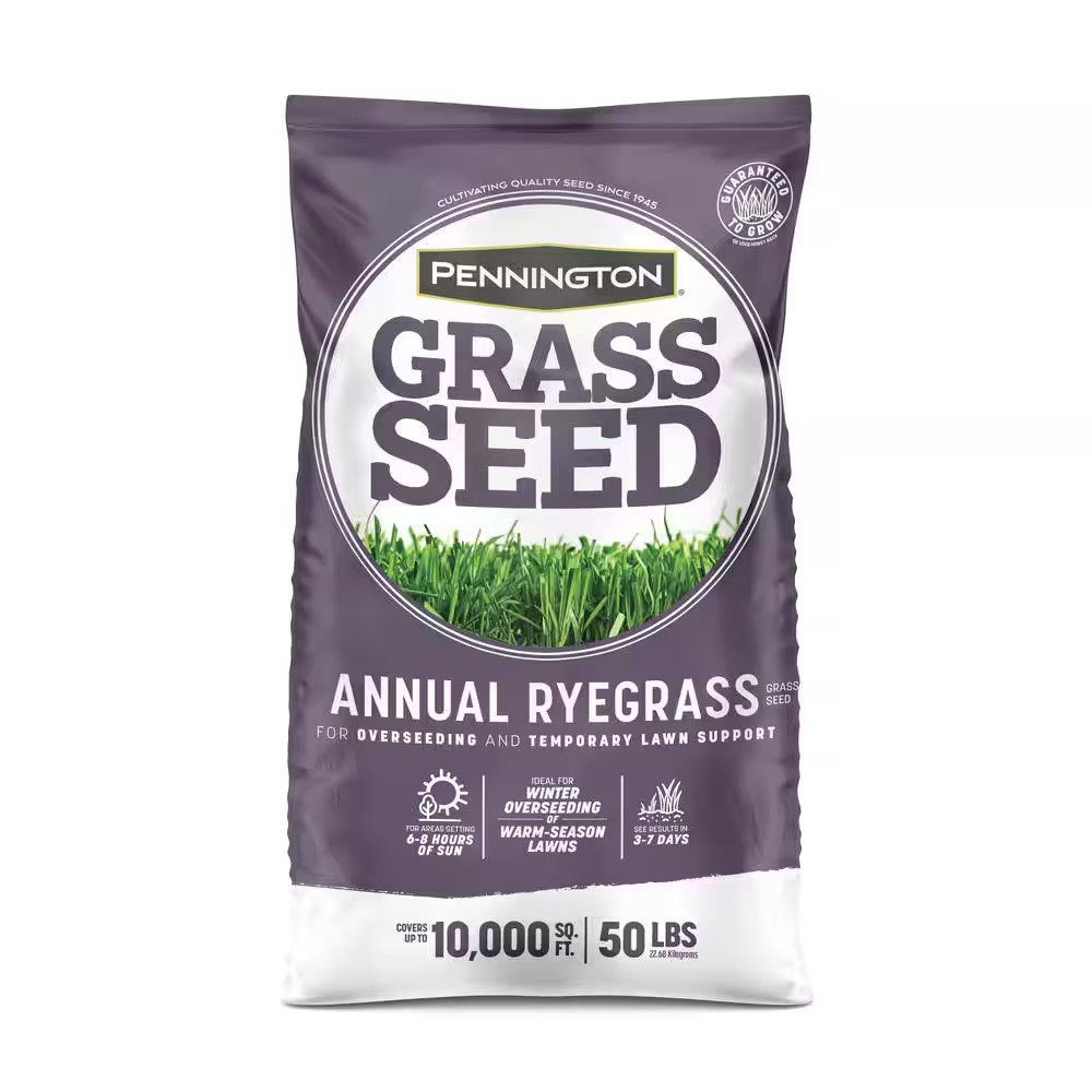 Annual Ryegrass 50 Lbs. 10,000 Sq. Ft., Rye Grass Seed for Lawn