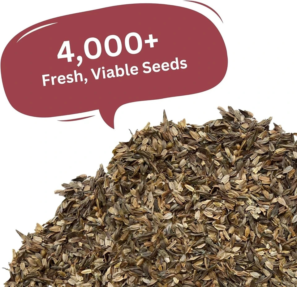 Zinnia Seeds – California Giants Mix – 4,000+ Seeds – 1 Oz Bulk Extra Large Rese
