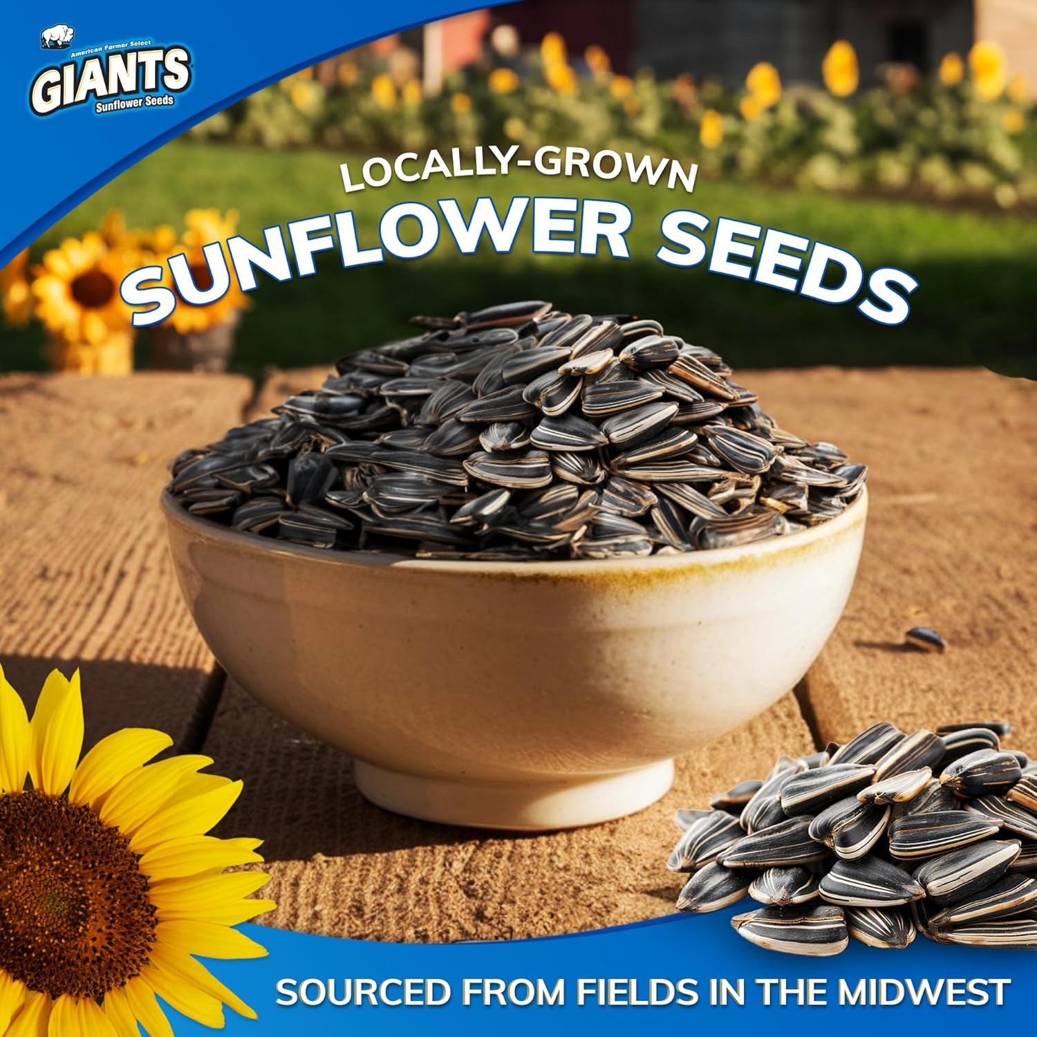 GIANTS Original Sunflower Seeds – Sunflower Seeds to Eat, Sunflower Seeds Bulk,