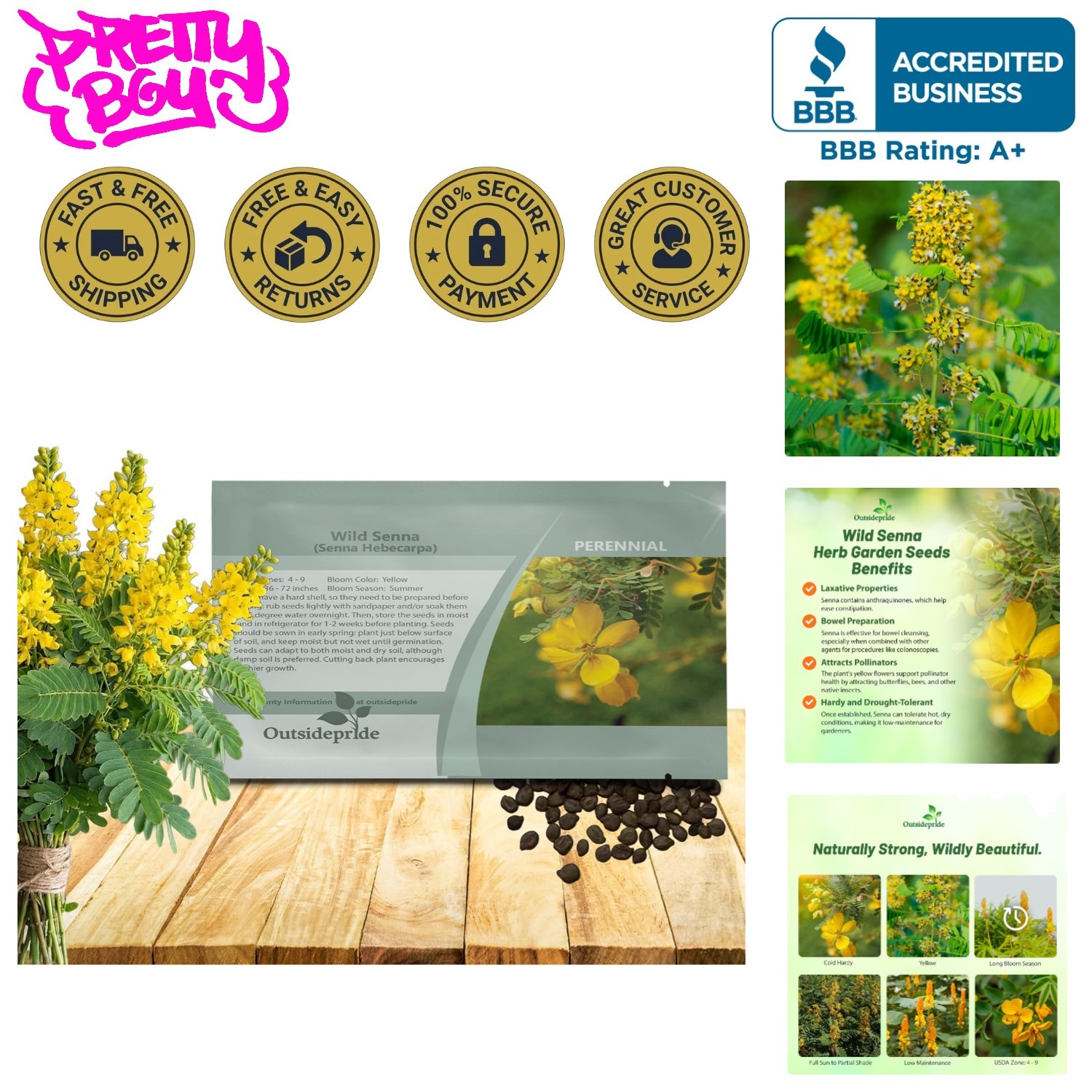 Vibrant Wild Senna Seeds – 100 GMO-Free Herb Seeds for Low-Maintenance Gardens