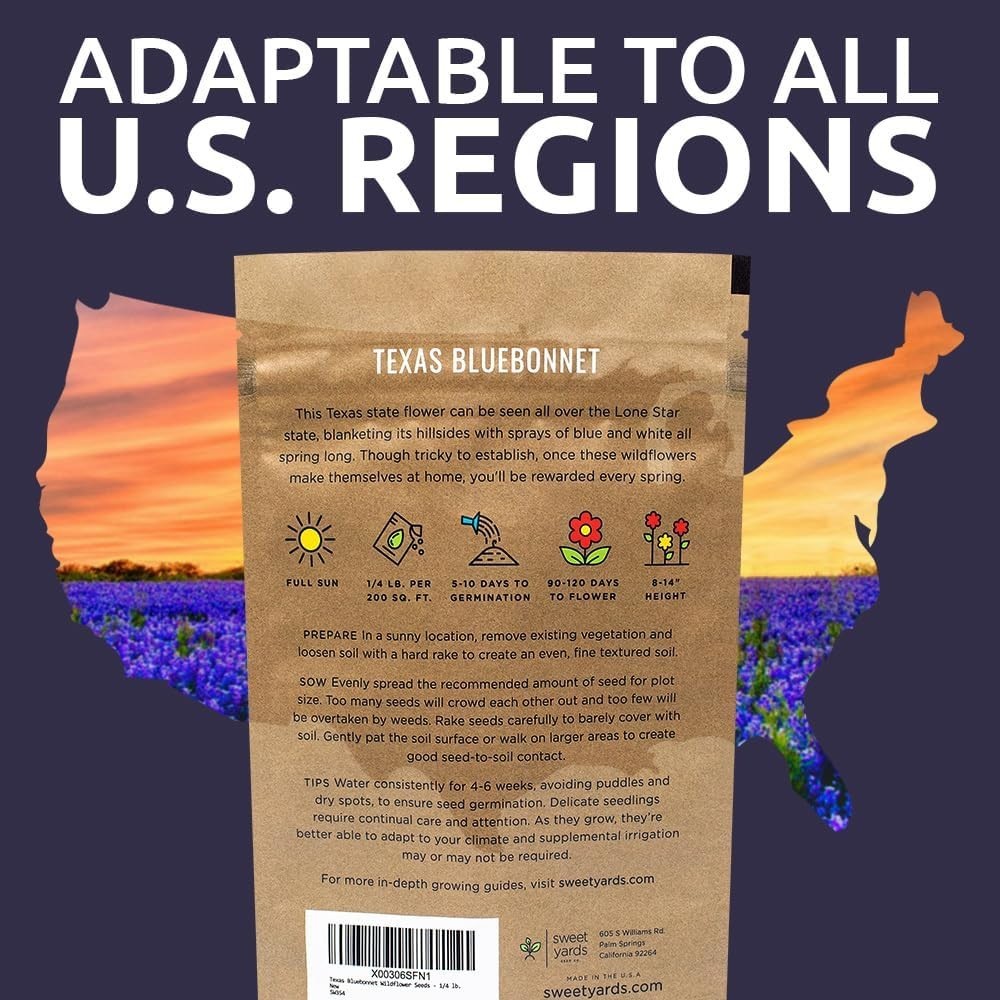 Texas Bluebonnet Seeds – Over 4,000 Native Seeds
