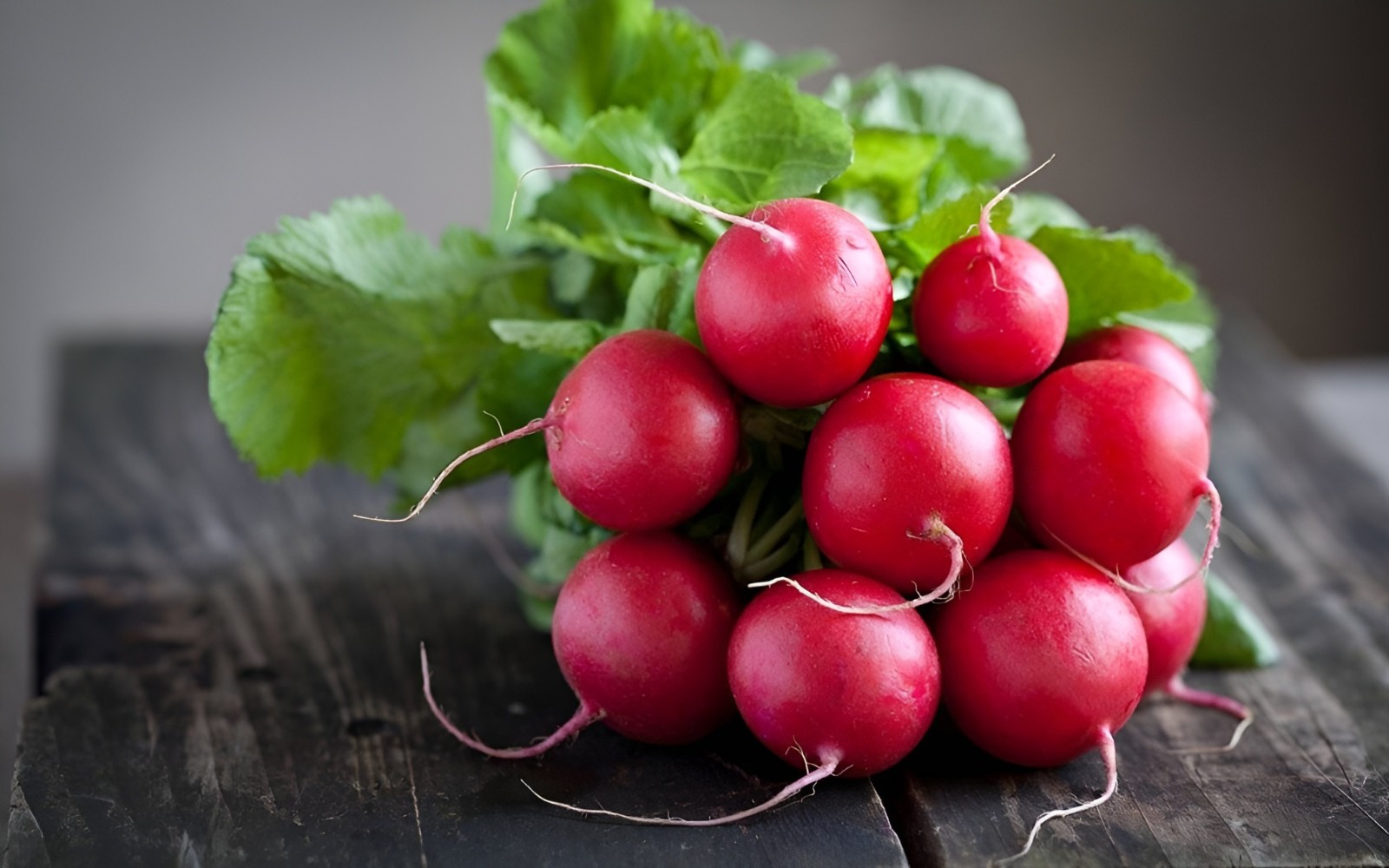 600 Organic Heirloom Rainbow Radish Seed Mix – 5 Color 25-30 Day Harvest NonGMO