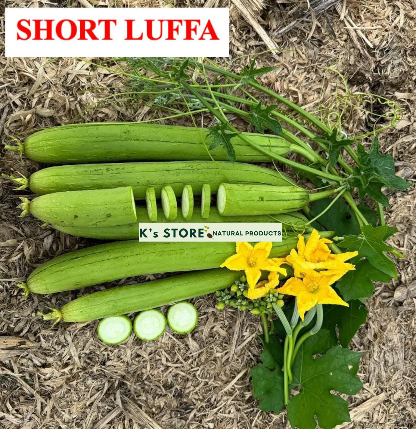 LUFFA SEEDS (Super Buds/Angled/Extra Long/Short) Hạt Mướp hương-nụ/khía/dài/ngắn