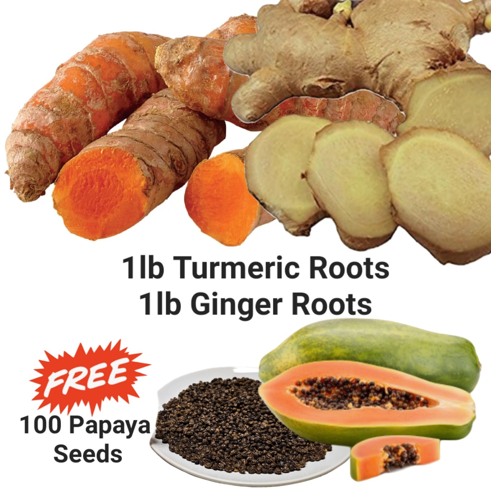 TURMERIC GINGER Roots 1lb each Plus FREE 100 Papaya Seeds, Organic, Plant, Juice