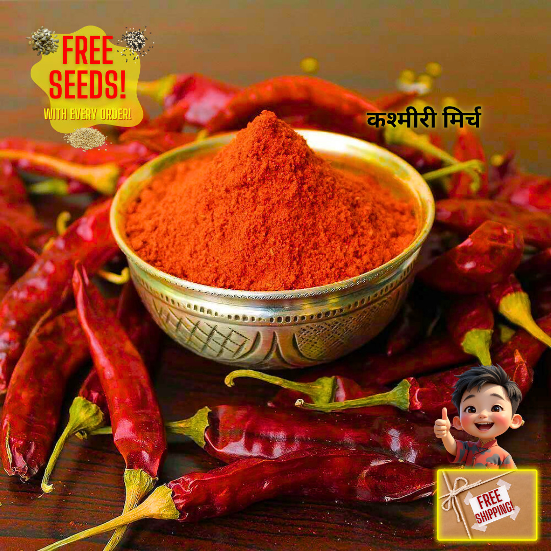 Fresh Indian Kashmiri Pepper Seeds | Indian Paprika | Heirloom Non-GMO | Indian