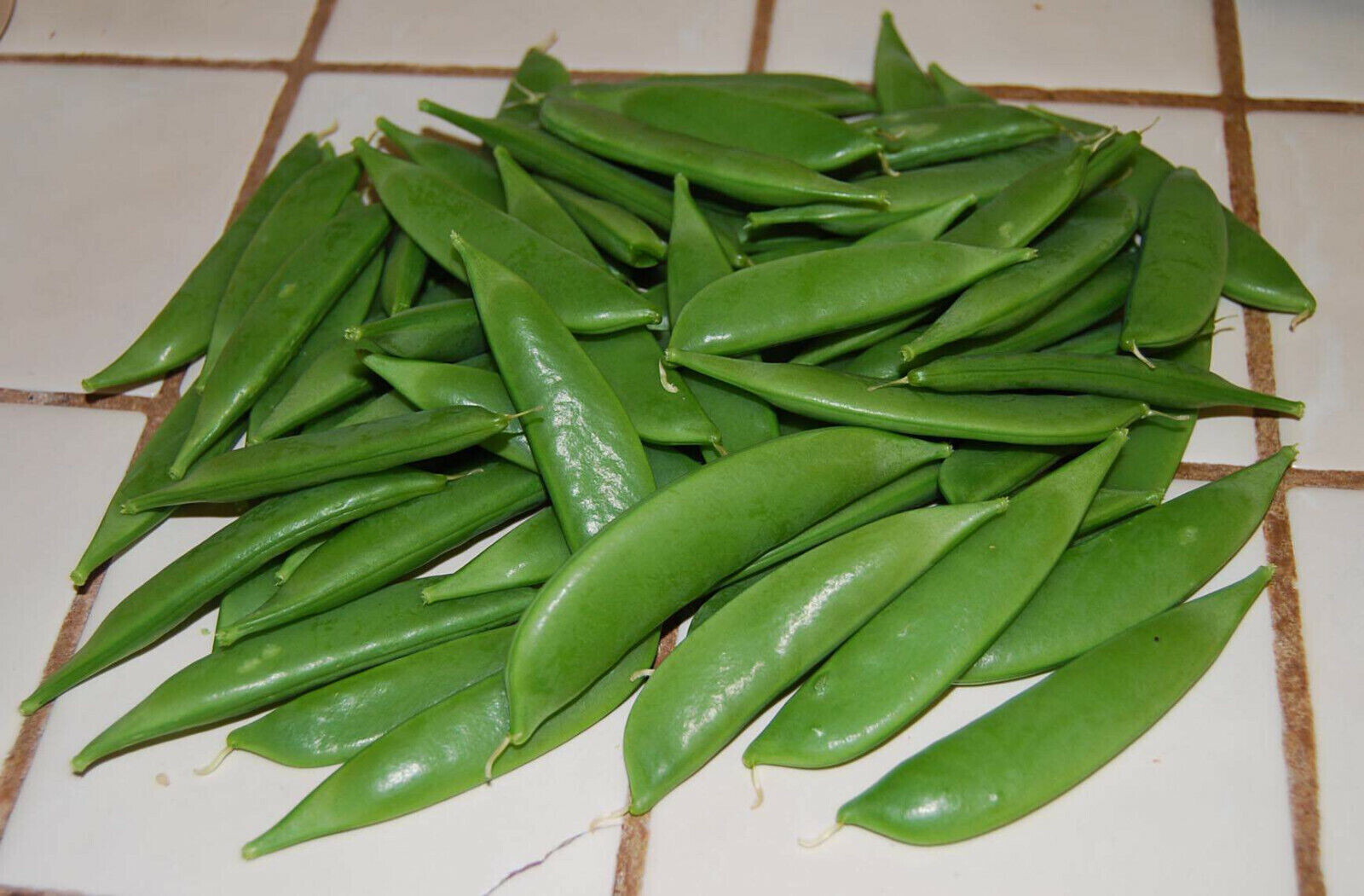 SCARBOROUGH SEEDS Peas, Super Sugar Snap, 25 Seeds Non-Gmo, Heirloom , USA