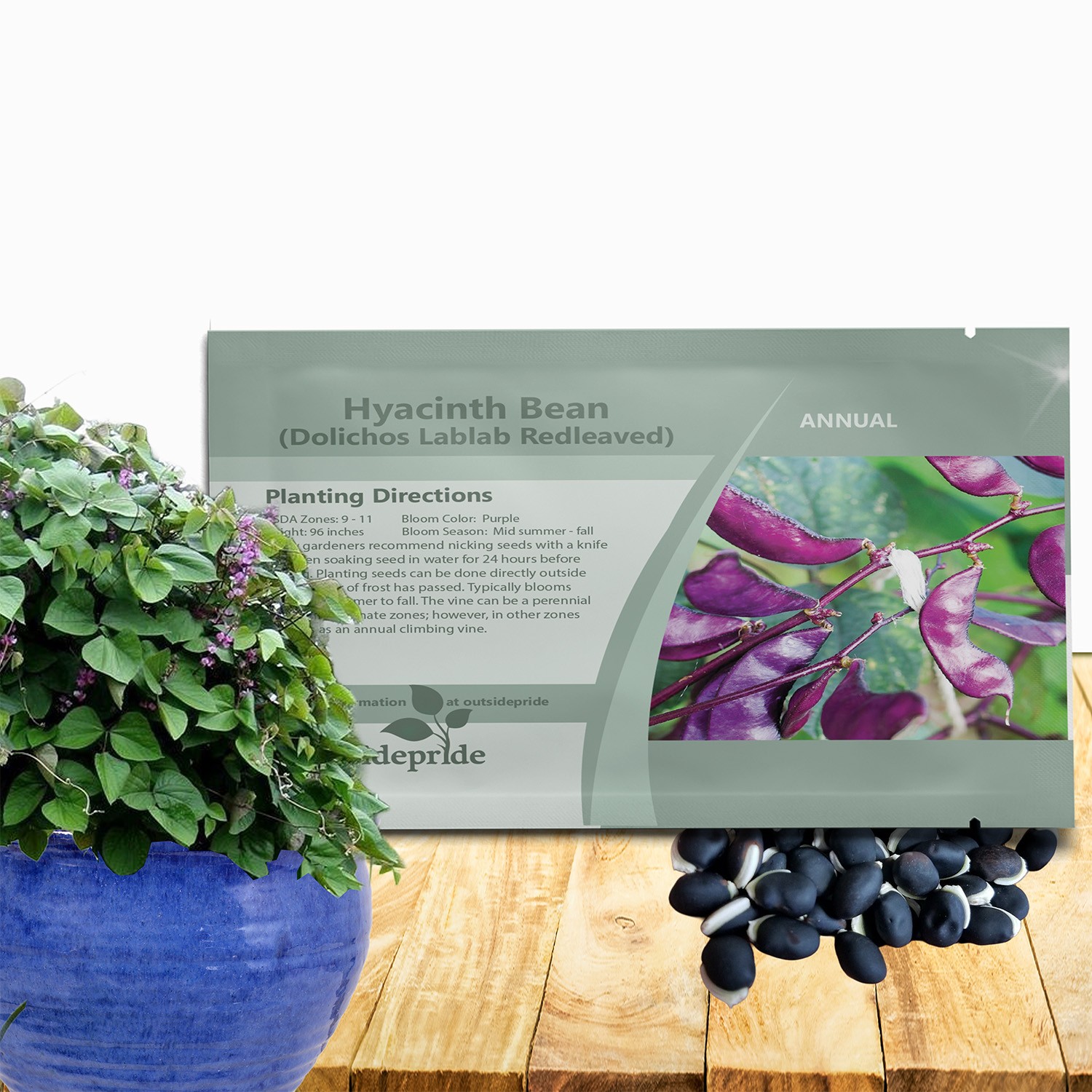 100 Seeds Hyacinth Bean Seed For Planting | Red Leaved Hyacinth Vine Flower
