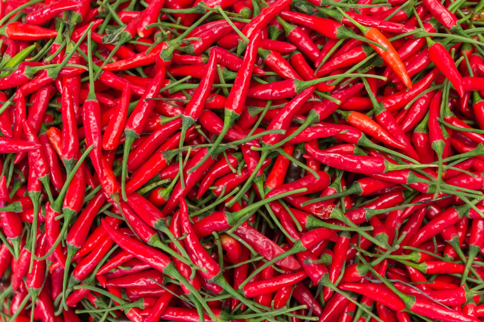 300 THIN CAYENNE PEPPER Hot Chili Long Green Red Slim Capsicum Vegetable Seeds
