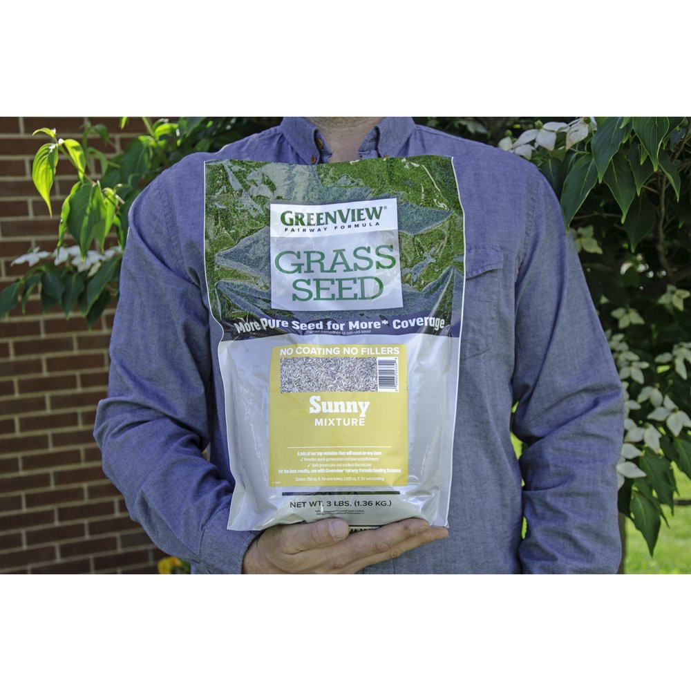 GRASS SEED Fairway Formula Sunny Mixture – 3 Lbs