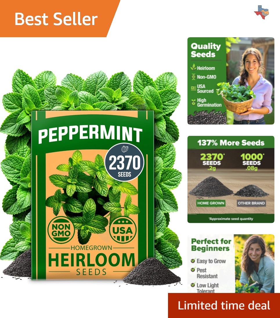 Heirloom Peppermint Seeds – 2,370 High Germination Indoor/Outdoor Herb Seeds