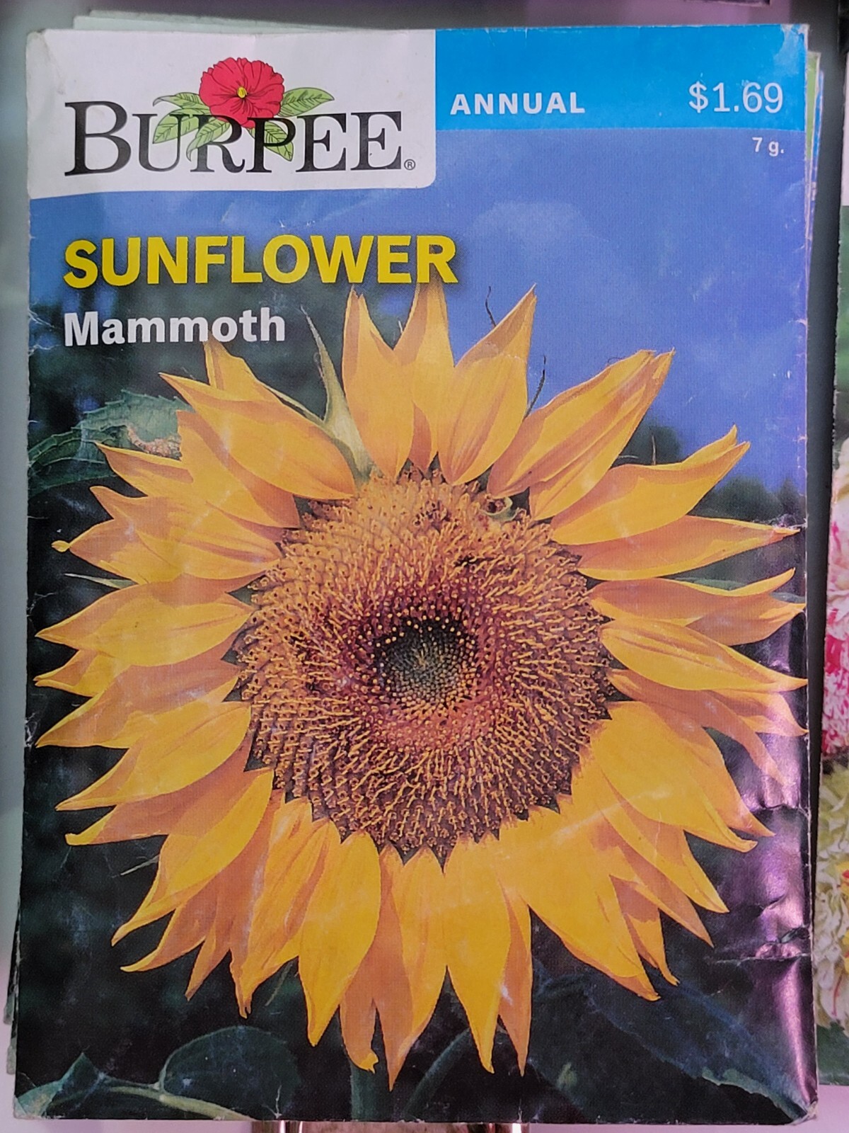 Burpee Flower Seed Assortment 3 (2020) New Sealed Inventory Guaranteed to Sprout