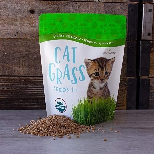 Organic Cat Grass Seeds – Non-GMO Wheatgrass, 12 oz Pet-Friendly Treat