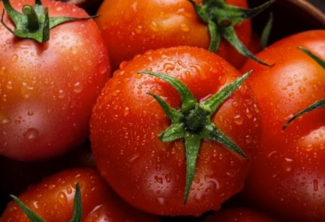 2026 Heirloom Vegetable Seeds – Premium Garden Seeds for Planting