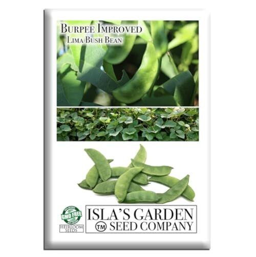 Burpee Improved Lima Bush Bean Seeds (Phaseolus lunatus) – 30+ Non-GMO &