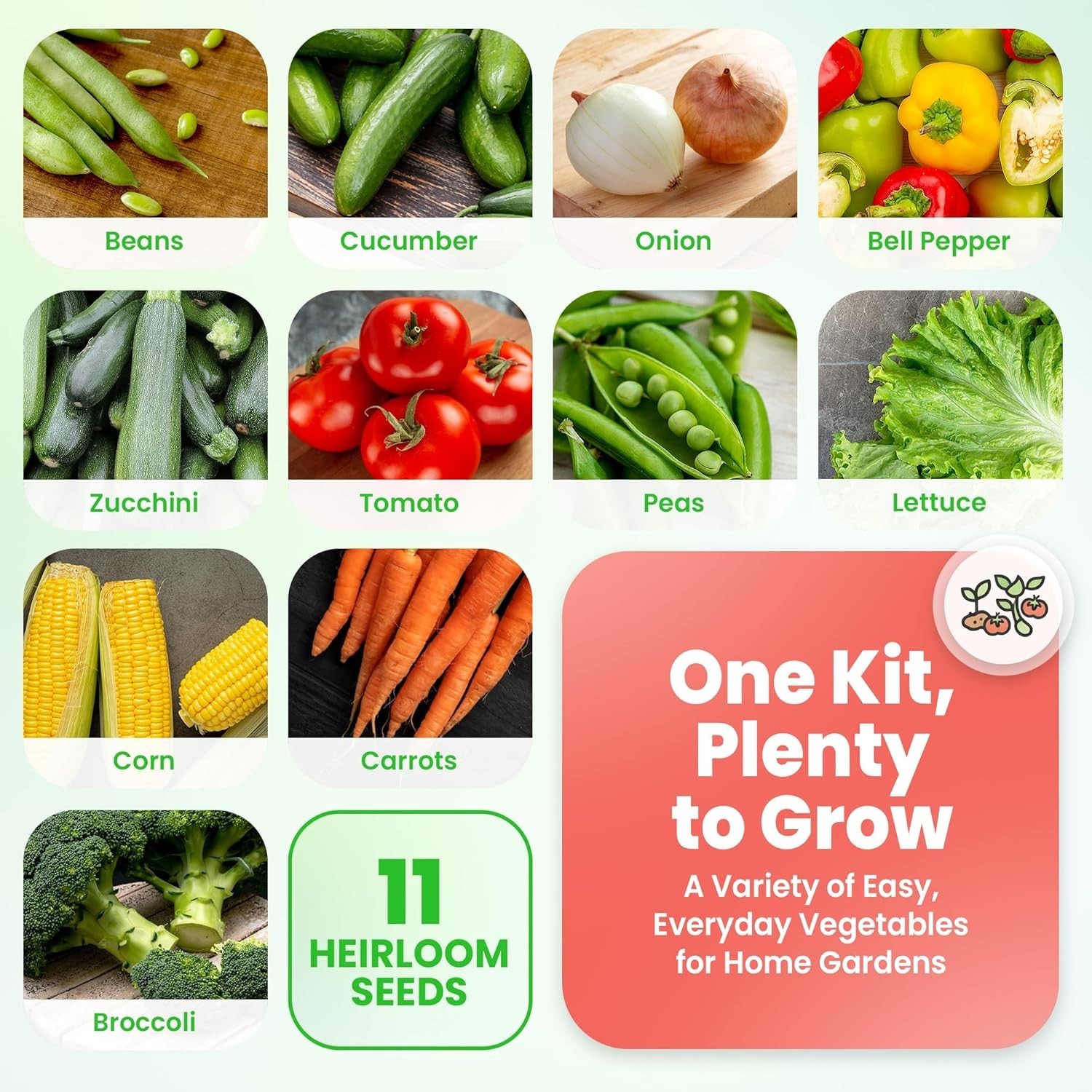 Vegetable and Fruit Heirloom Seeds Pack with 4800 Survival Seeds Non-GMO Garden