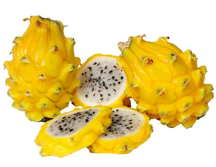 100 seeds Dragon fruit pitaya seeds mix 4 kinds yellow, red, white, purple