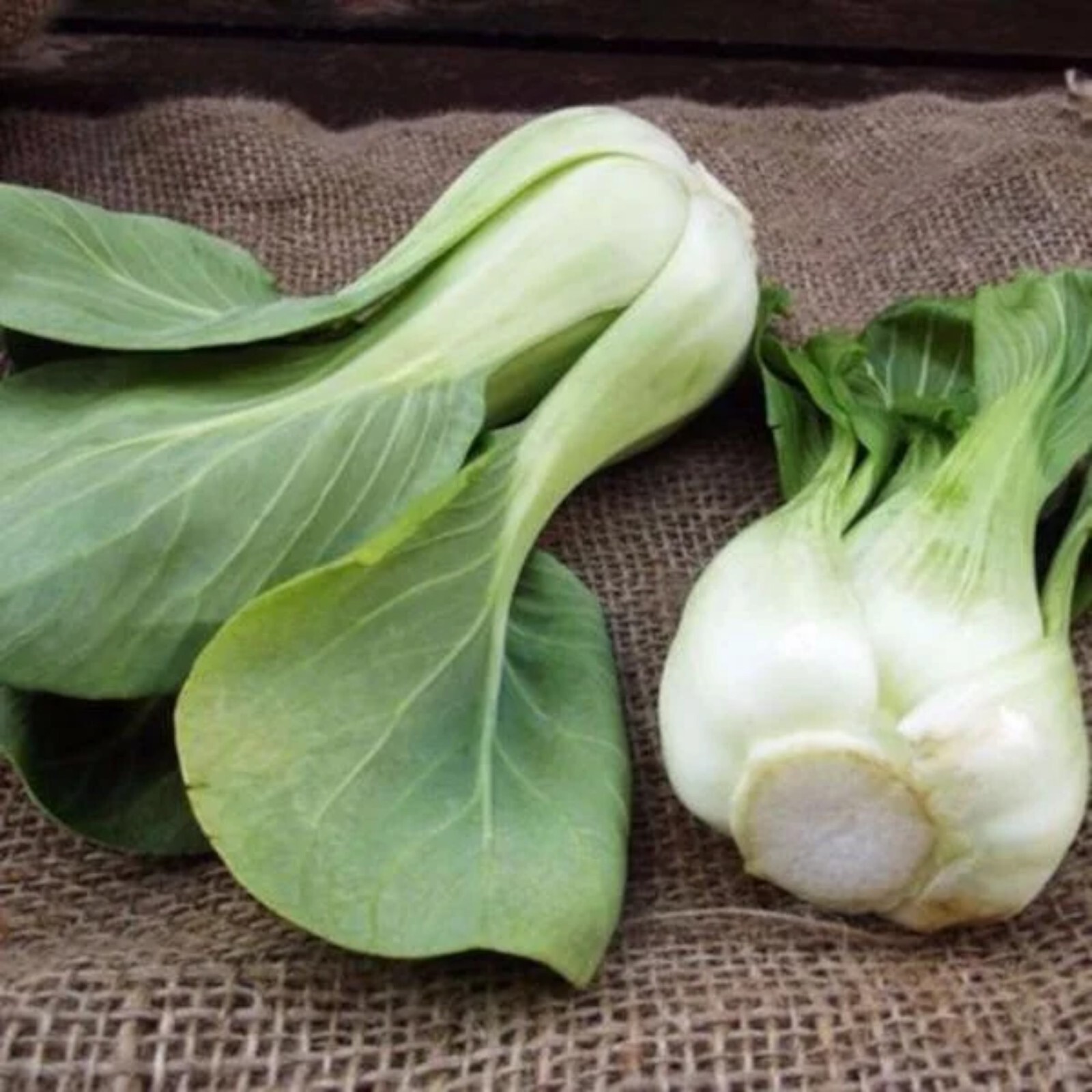 1000pcs ‘All Year Round’ Chinese Cabbage Seeds – Heirloom & Organic, Non-GMO.
