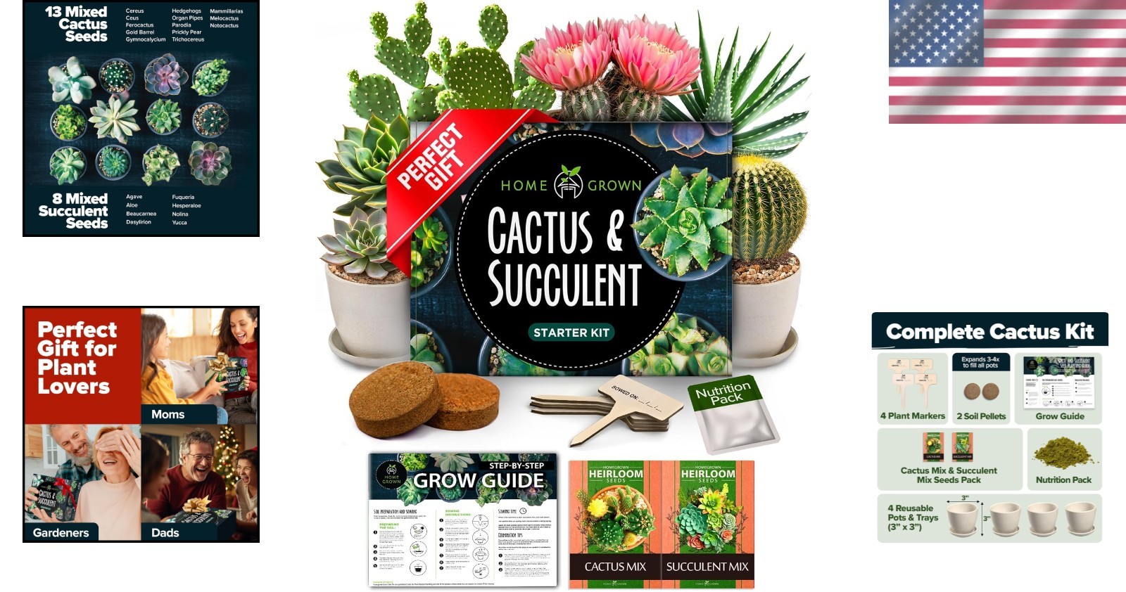 Complete DIY Succulent & Cactus Starter Kit – Indoor/Outdoor Gardening Fun!
