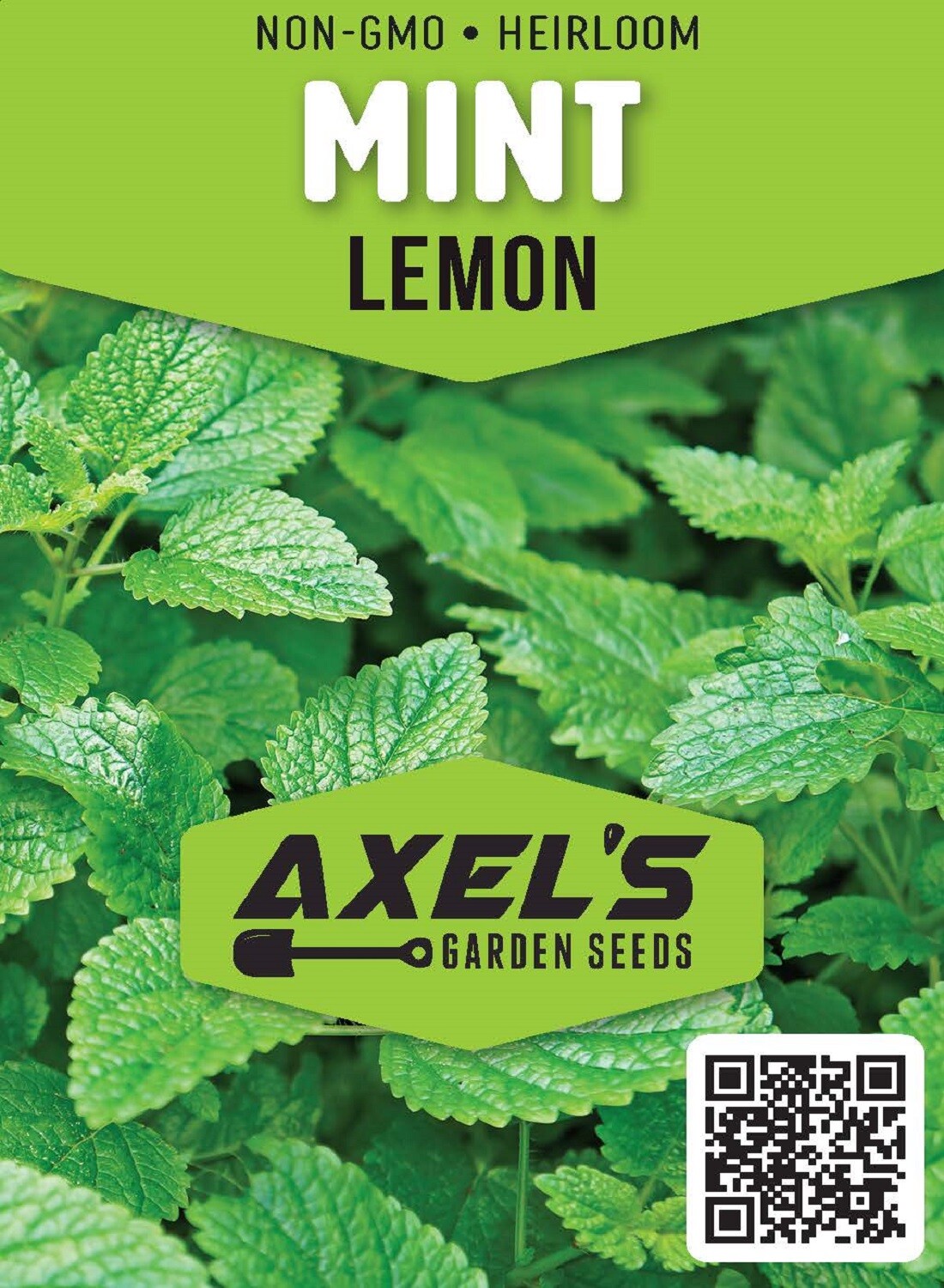 Lemon Mint Seeds | Non-GMO | Heirloom | Fresh Herb Garden Seeds