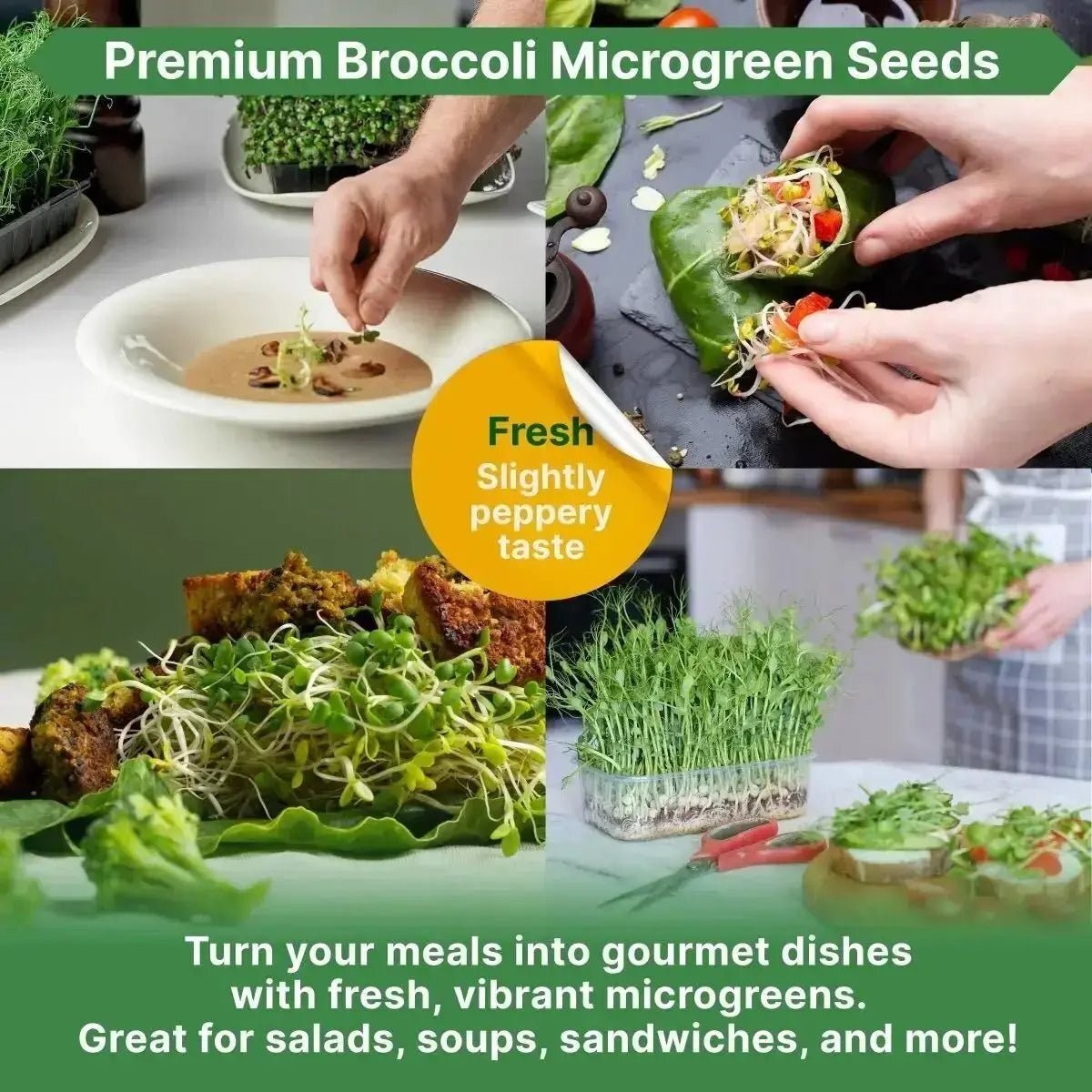 Broccoli Sprouting & Microgreens Seeds 1lb