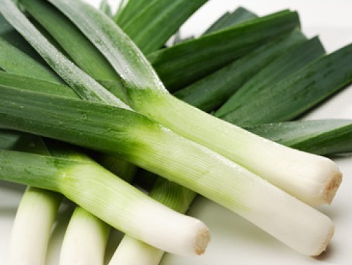 50 FRESH HEIRLOOM LEEK AMERICAN FLAG SEEDS FREE USA SHIPPING