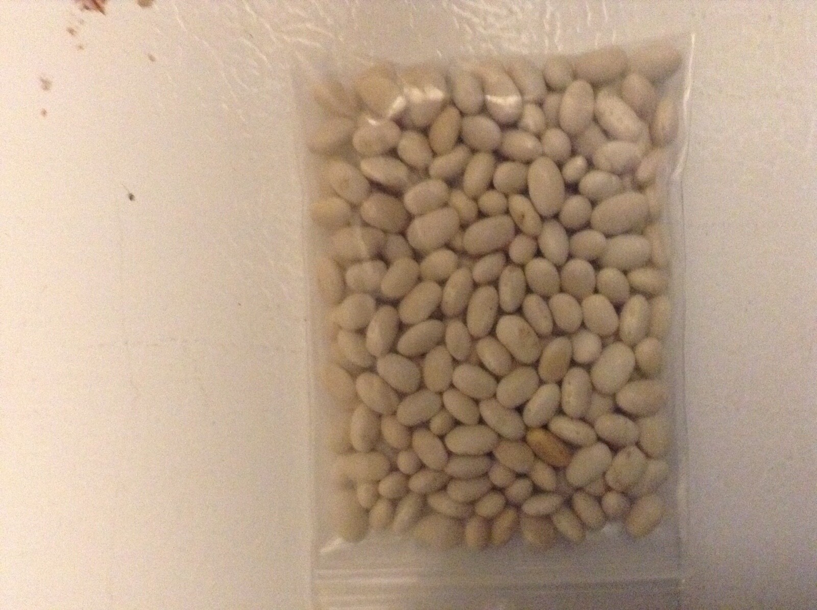 Tenderette Green Beans. FREE SHIPPING. NON-GMO SEEDS. 400 count.