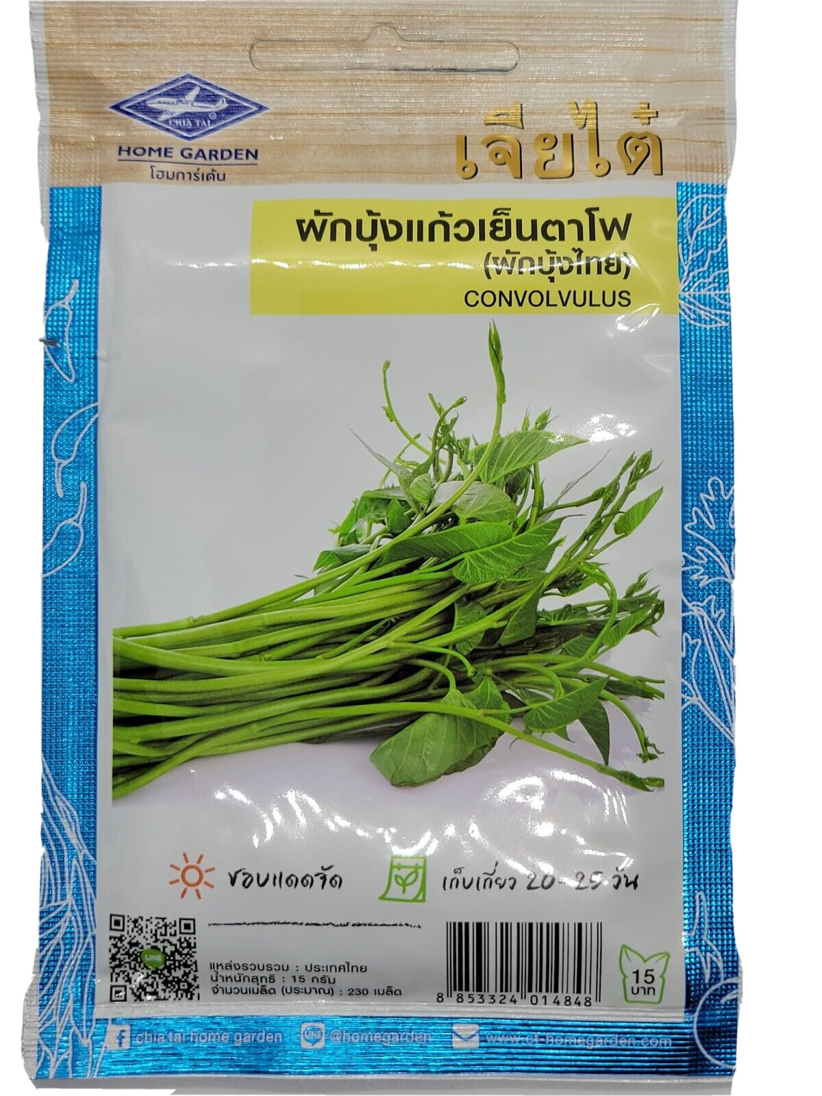 Thai Morning Glory Chinese Water Spinach Convolvulus Seeds AP