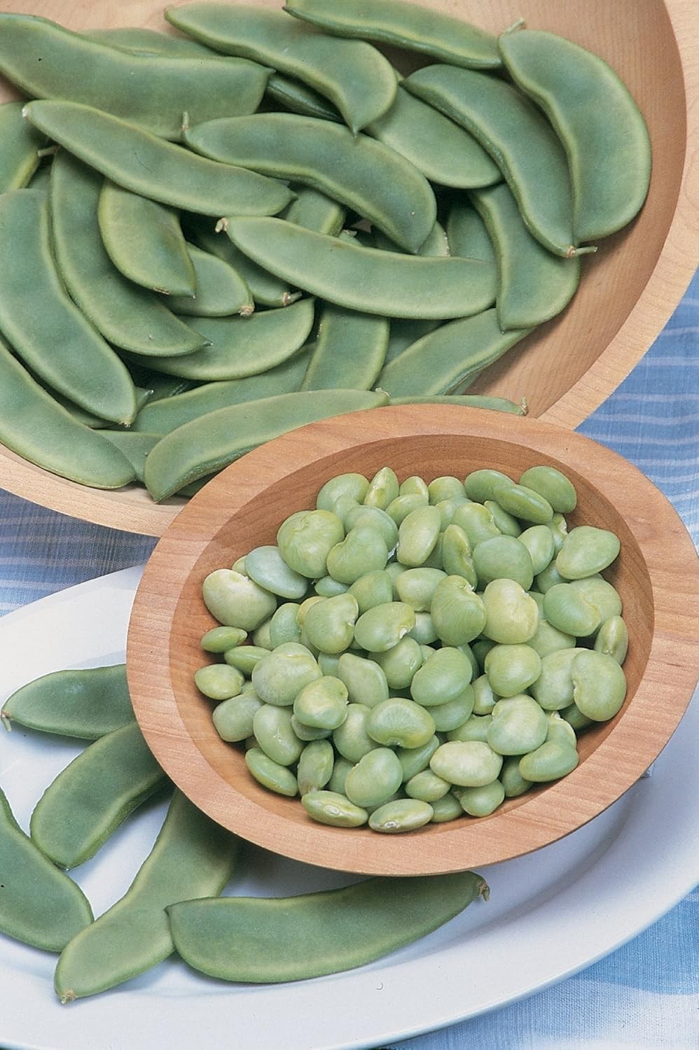 Fordhook bush lima bean seeds One Ounce ~FREE SHIPPING~