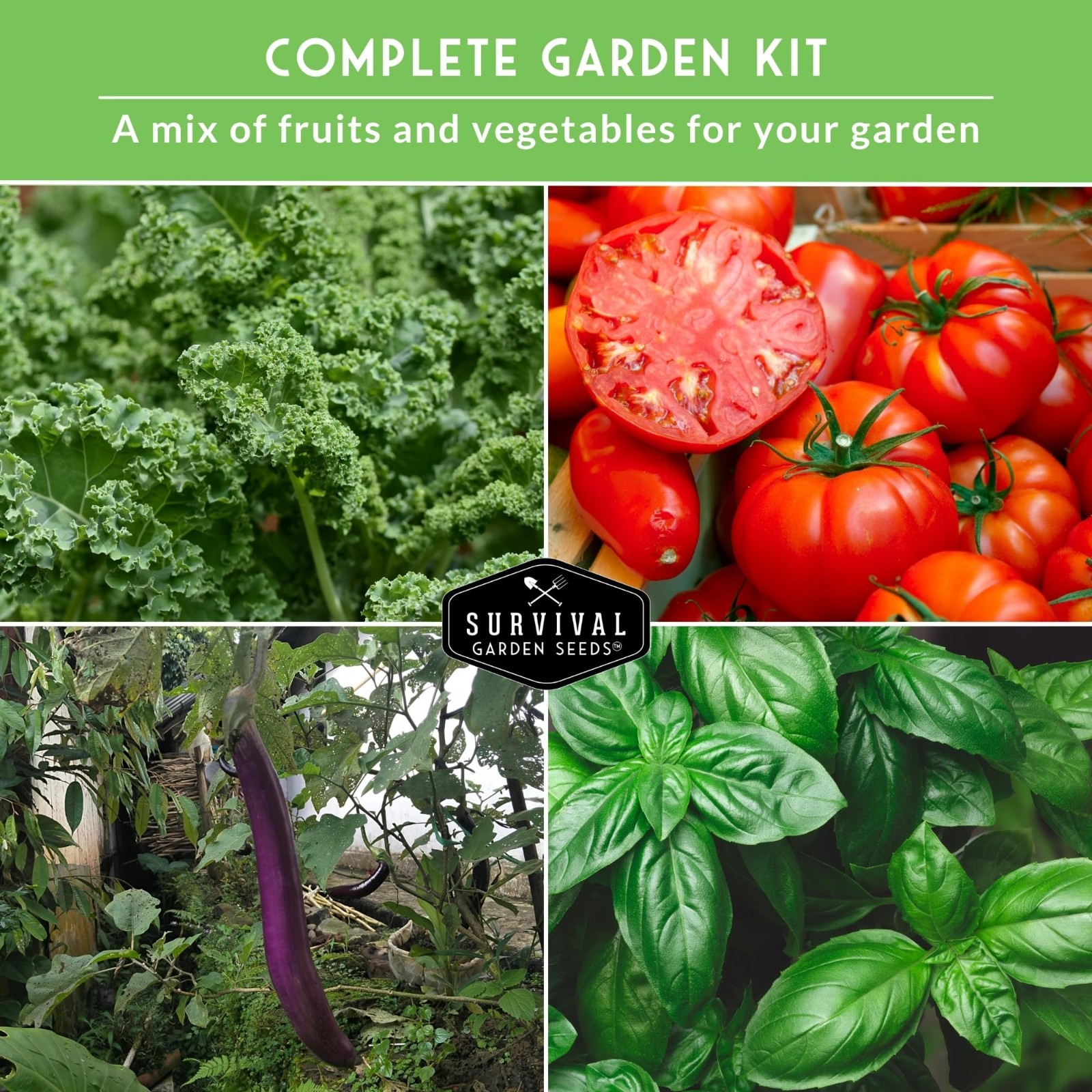 Heirloom Vegetable Garden Starter Kit – 20 Non-GMO Seeds for Beginners | Indoor/