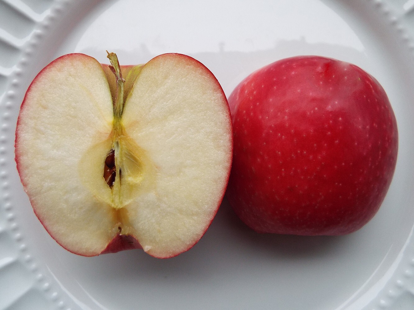 Paradise Apple | Premium Seeds | Malus pumila ‘Fruit’ | Plants’®