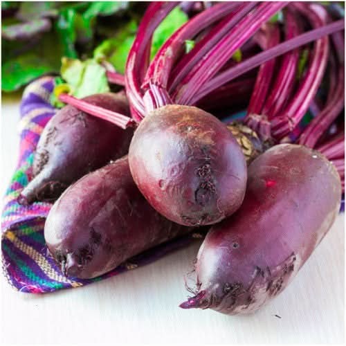 Cylindra Beet Seeds For Planting (Beta vulgaris)