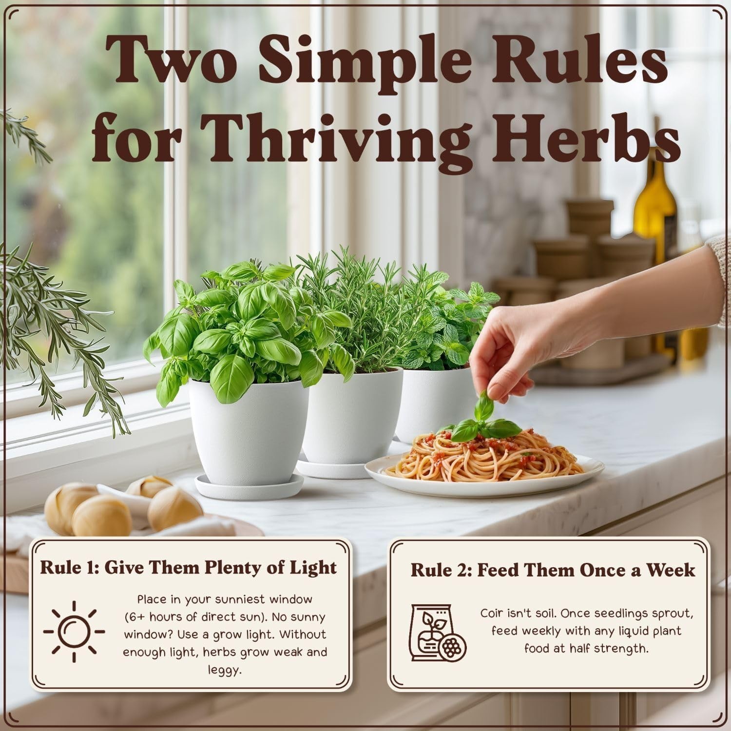 Organic 10 Herb Garden Starter Kit for Planting Indoor or Outdoor, Non-GMO US…